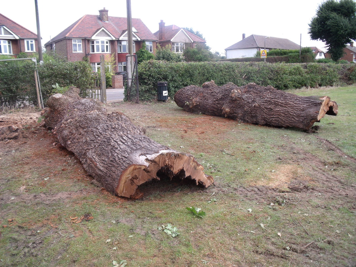 A new feature appears on the Common